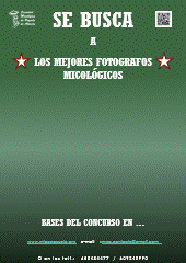 Se busca